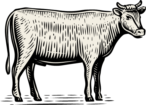 cow